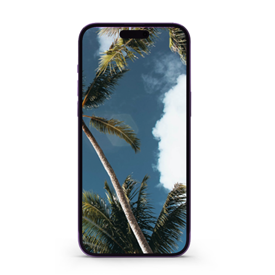 Reparar iPhone 14 Pro Reparar iPhone 14 Pro