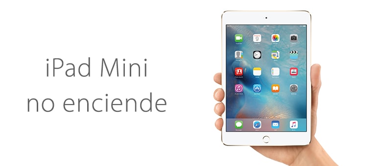 Cambiar batería de iPad Mini si no carga al conectarlo