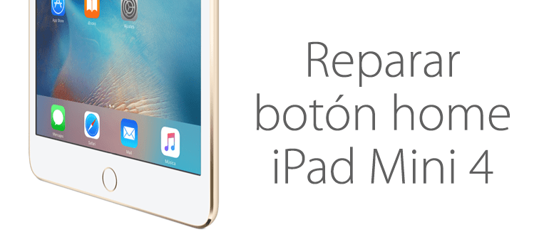 Reparar el botón home de iPad Mini 4 en iFixRapid