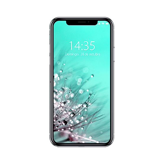 Cambiar Pantalla iPhone Xs Cambiar Pantalla iPhone Xs