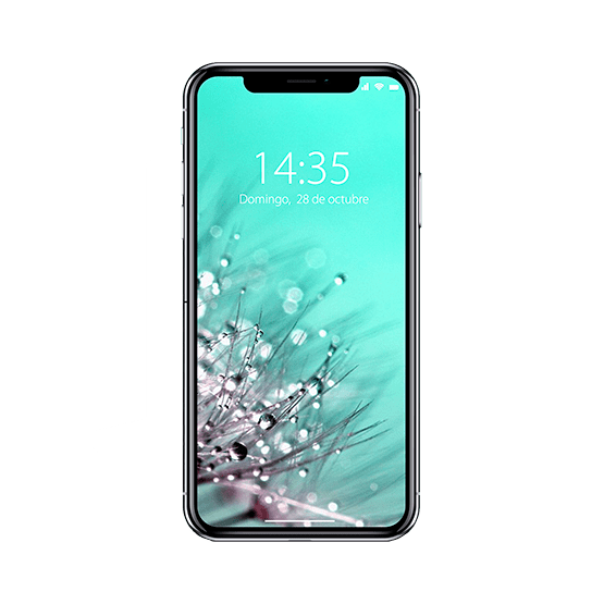 Cambiar Pantalla iPhone Xs