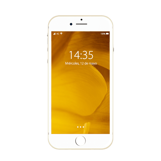 Cambiar Pantalla iPhone 6 Plus