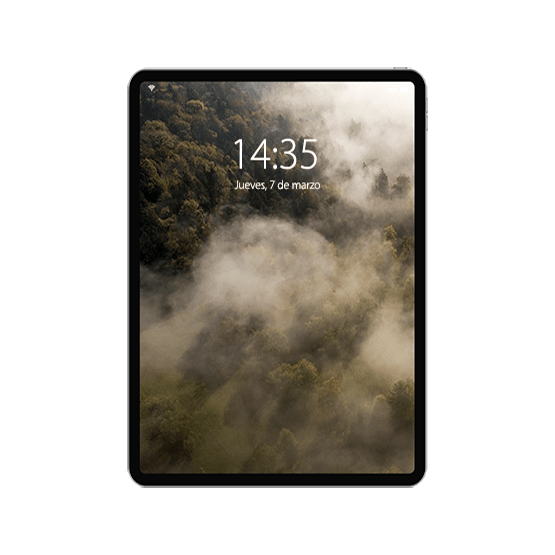 Reparar iPad Pro 11 Reparar iPad Pro 11