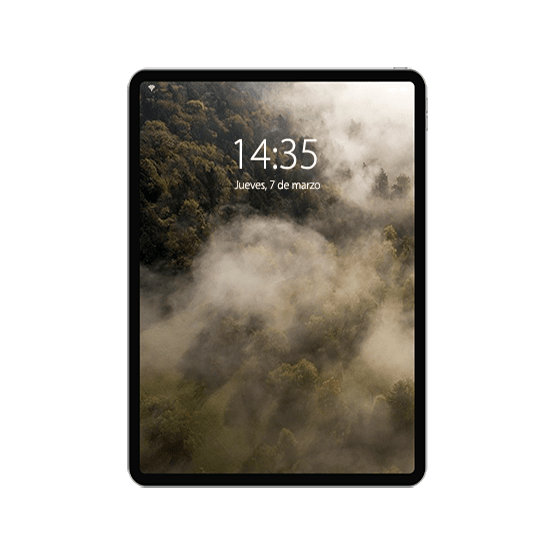 Cambiar Pantalla iPad Pro 11