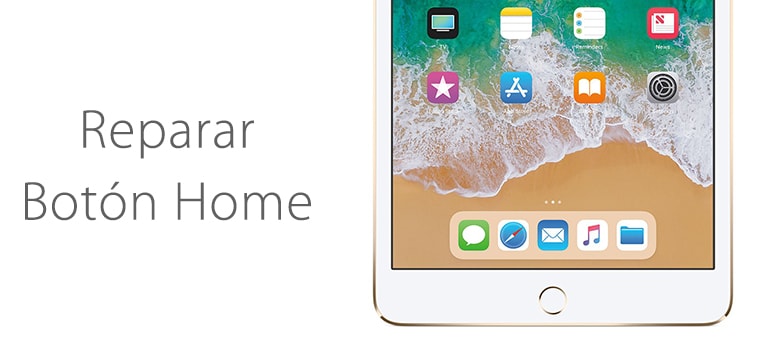 ¿No funciona el botón Home de tu iPad, iPhone o iPod? iFixRapid lo puede arreglar.