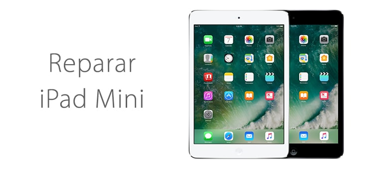 Arreglar iPad Mini si no enciende o no carga